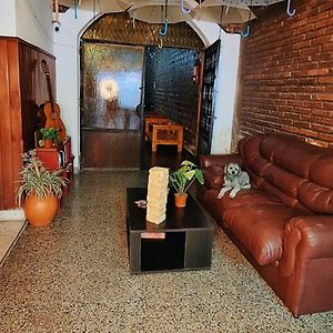 Alpha House Hostel